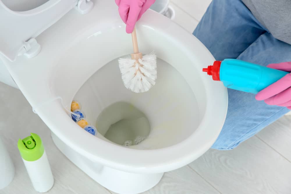How to get rid of toilet ring