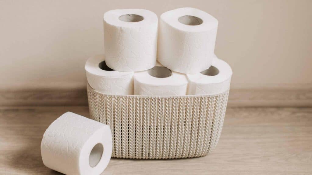 What to Consider When Choosing the Best Toilet Paper for Septic Tanks