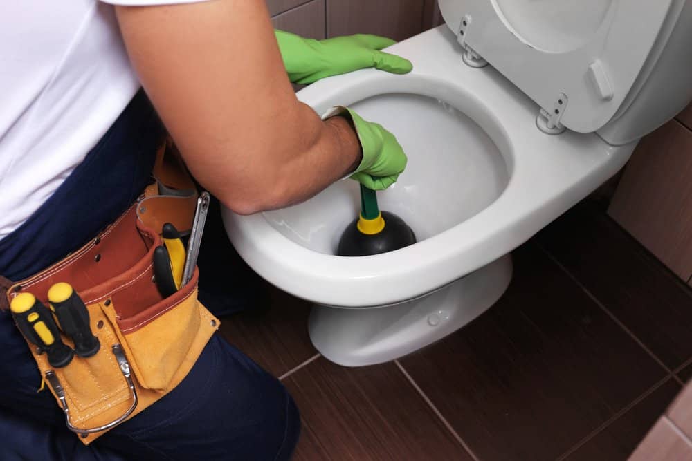 Prevent the Toilet From Clogging